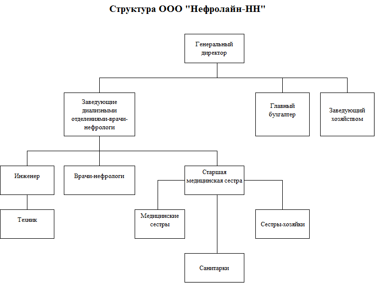 Структура организации